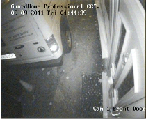 IR Image 01 Infra-red Image